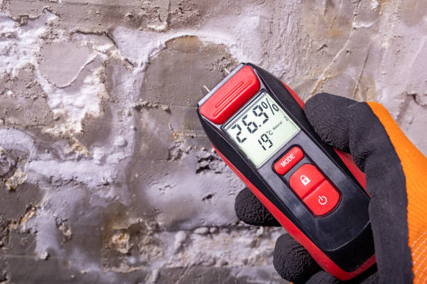 Best Residential Mold Removal  in Byron, MN